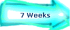 7 Weeks