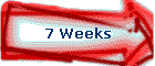 7 Weeks