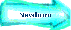 Newborn