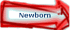 Newborn
